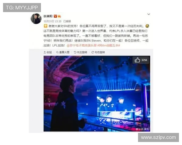 Bin上单巅峰之路全面解析带你深入了解他如何统治赛场