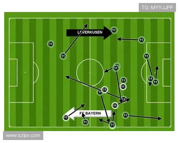 武汉羽毛球队战术表现深度分析与数据解读探讨 武汉羽毛球队战术表现深度分析与数据解读探讨
