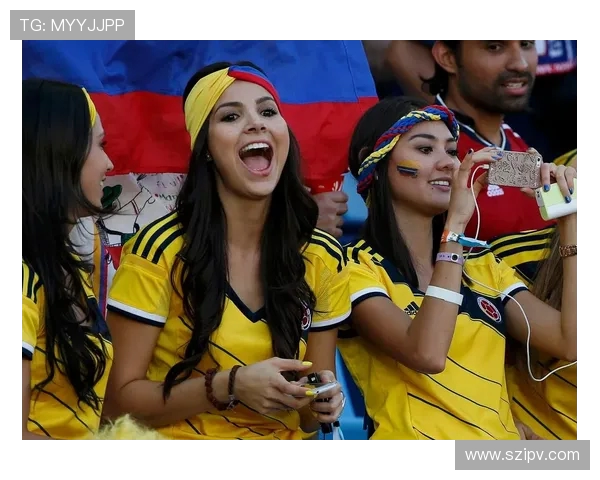 世界杯激情点燃全球体育盛宴的荣耀时刻纪实与人文风采绽放魅力篇